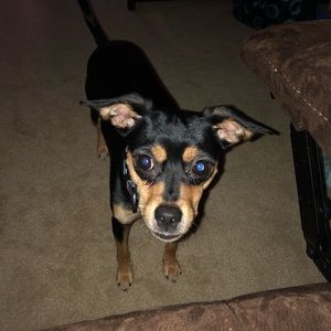 Meet your Posher, Eric